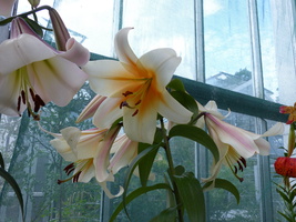 Foto: Dr. Peter Müller